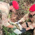 AFRICO E BRANCALEONE I Carabinieri rinvengono un’arma clandestina, numerose munizioni e quasi 9 kg di marijuana