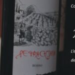 BAGNARA Venerdì 22 novembre la presentazione di “Petrachjana”, il vino della Cooperativa Agricola “Terre della Costa Viola”